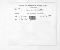 Image Associated With the Occurence